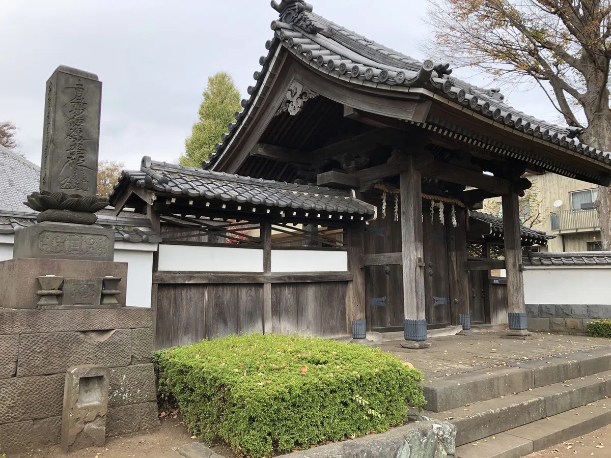 画像14