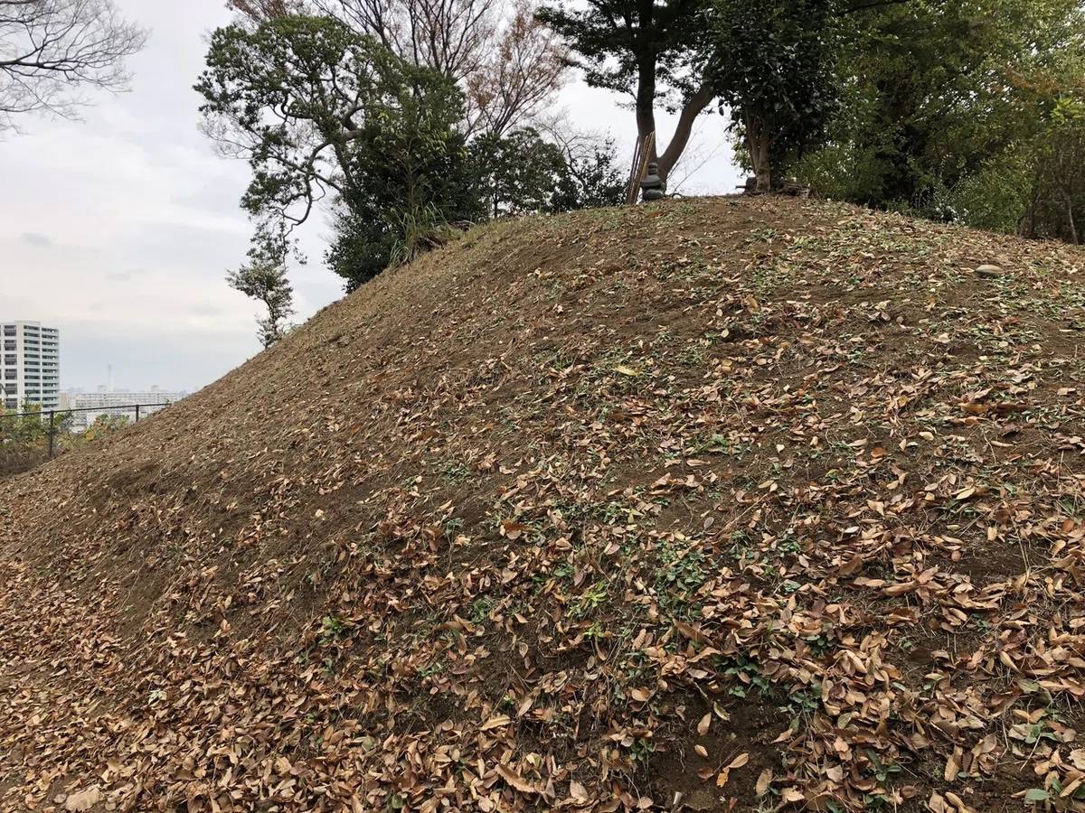 画像15