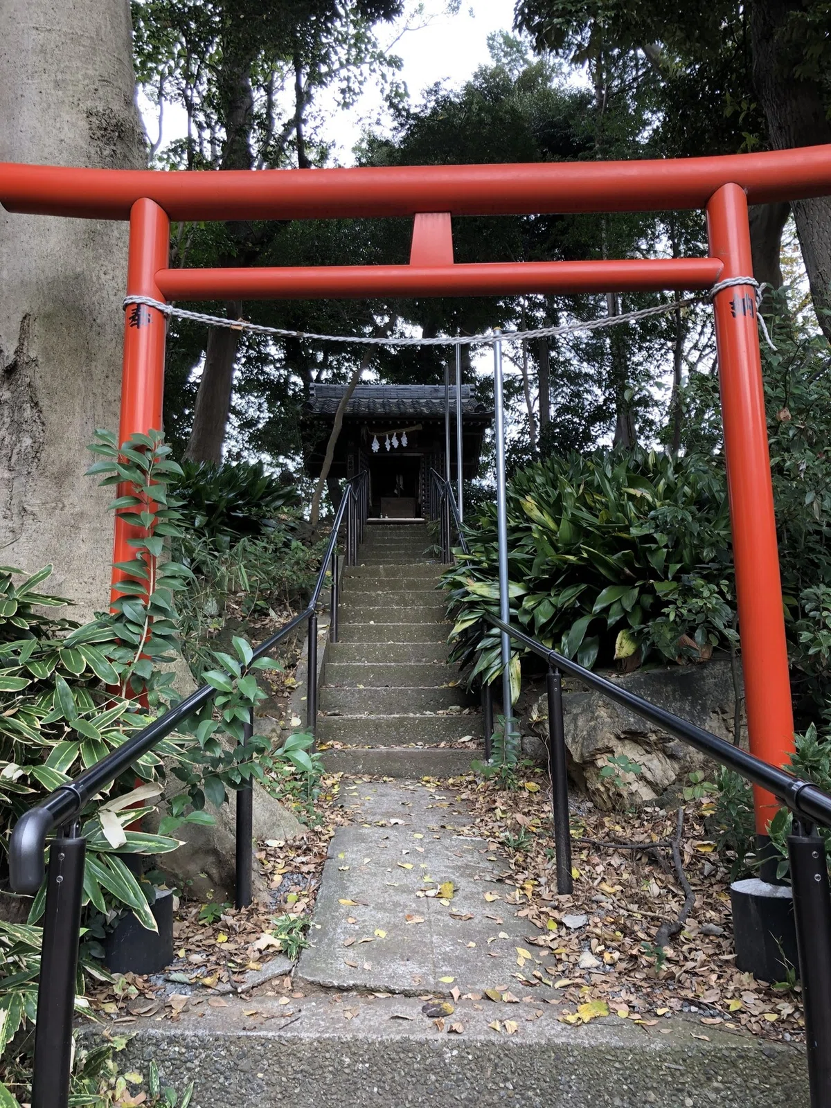 画像17