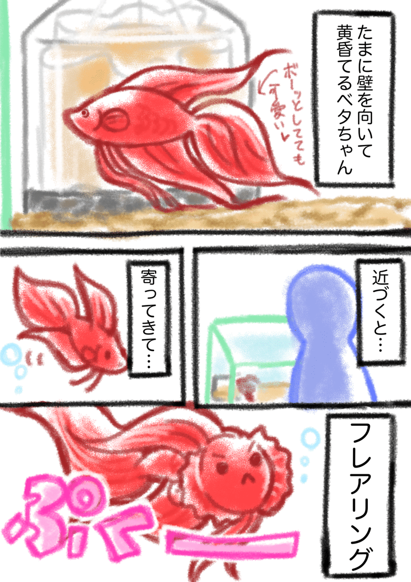 ベタにメロメロアクア記録 2 つみれ Note
