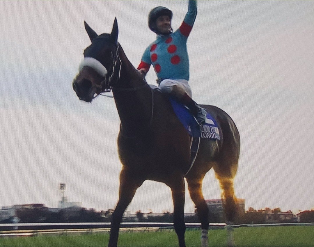 新競馬表の見方や自己紹介 ハッピーブライアン Note
