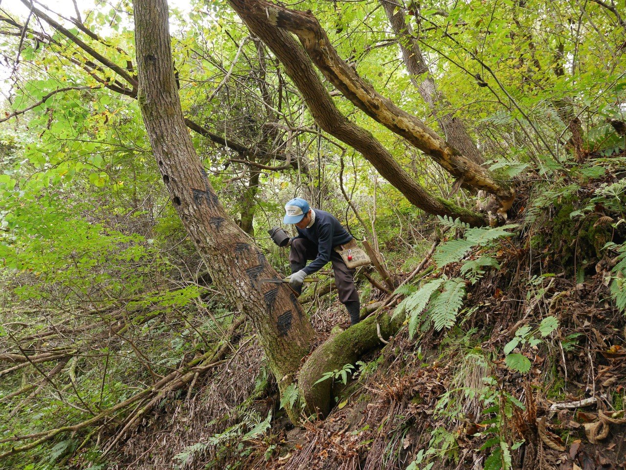 菊地克典・工房ととか｜crafts days