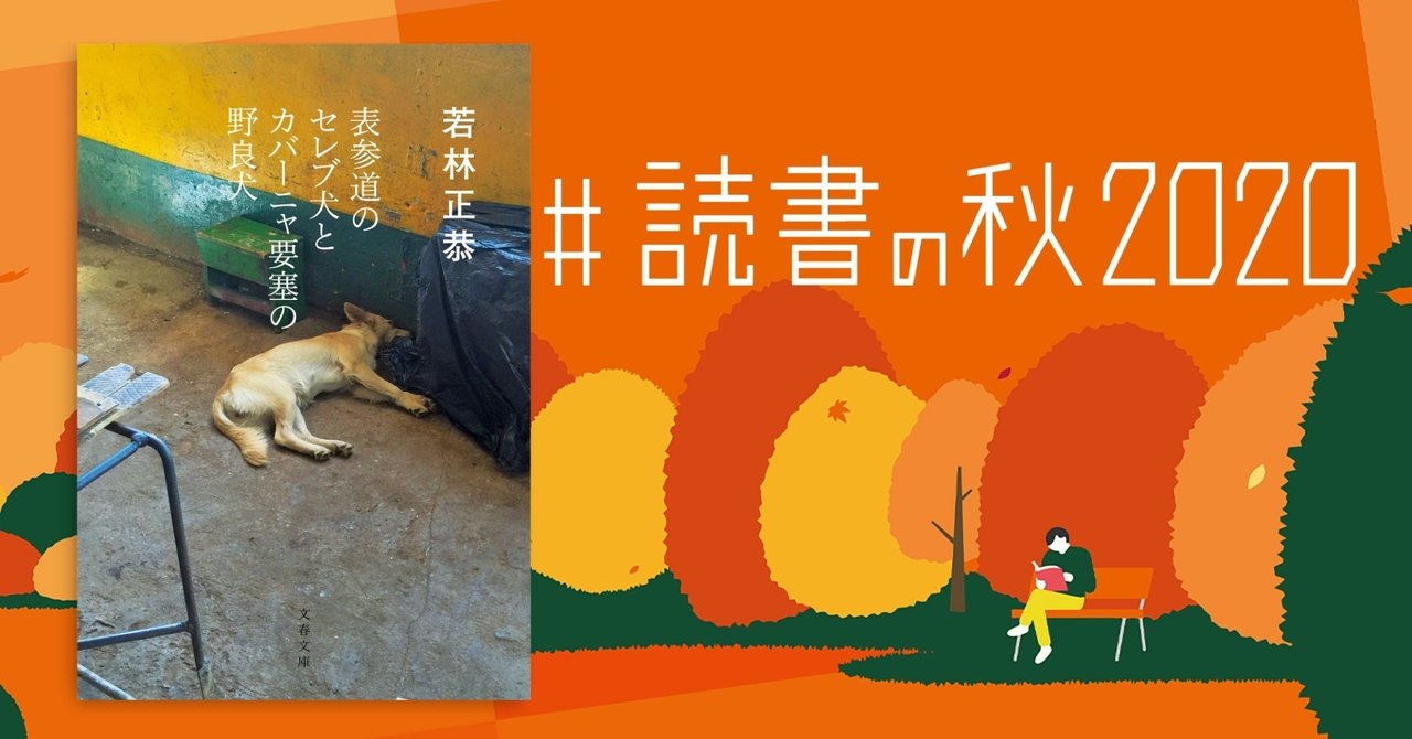 あとがきが本編だから最後まで読んでください 表参道のセレブ犬とカバーニャ要塞の野良犬 小山 志織 ライター Note あとがきが本編だから最後まで読んでください 表参道のセレブ犬とカバーニャ要塞の野良犬 小山 志織 ライター Note