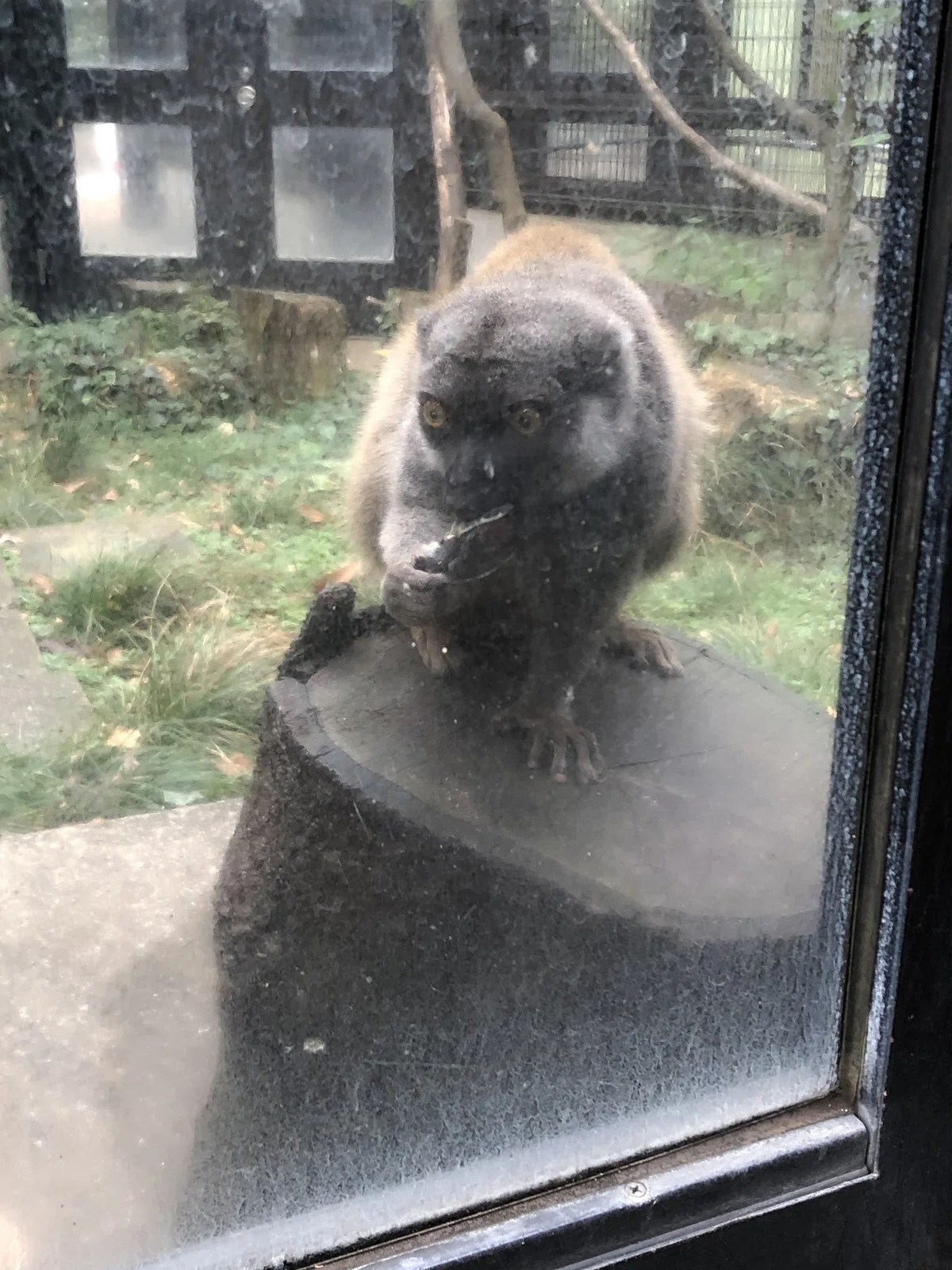 画像24