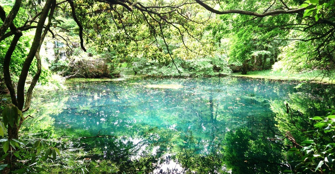 この素晴らしい世界に祝福を の新着タグ記事一覧 Note つくる つながる とどける この素晴らしい世界に祝福を の新着タグ記事一覧 Note つくる つながる とどける