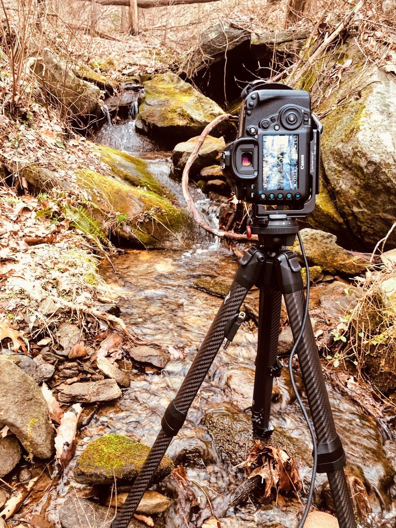 Peak Designの三脚を1年間使った感想 Moja Moja Note Peak Designの三脚を1年間使った感想 Moja Moja Note