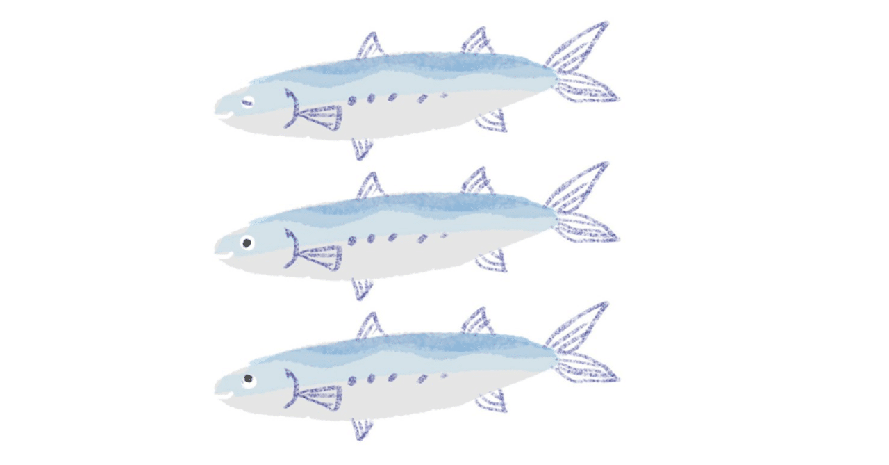 鮮魚セットは新鮮だった Misa Note 鮮魚セットは新鮮だった Misa Note