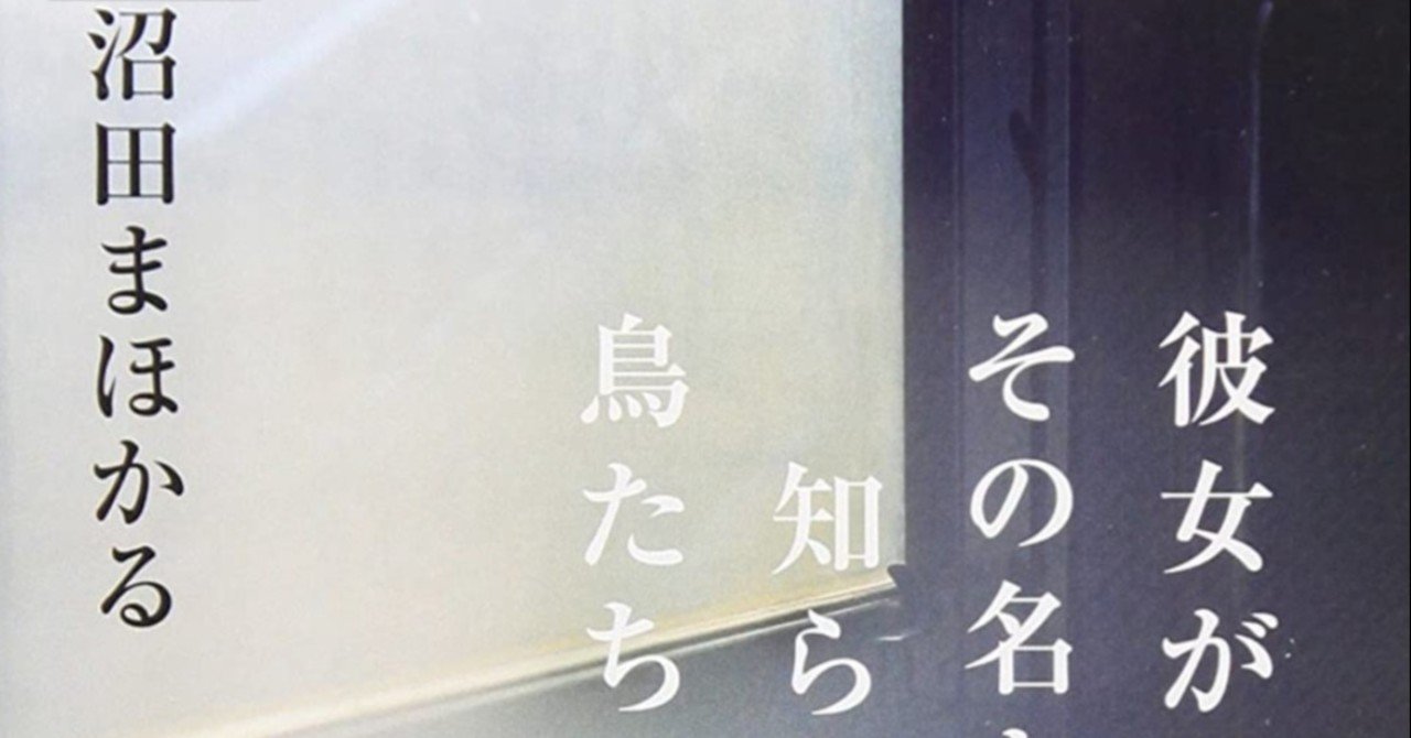 彼女がその名を知らない鳥たち 沼田まほかる しかく Shikaku Note