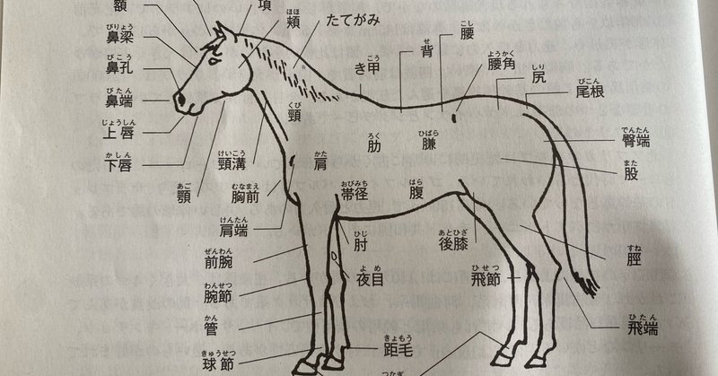 尾島競馬講座１ 勝負師 尾島徹 Note