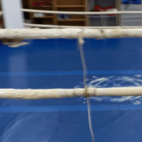 プロテストの日程決まる 30代外資系コンサル女子のボクシングプロテストへの挑戦 30代崖っぷちでプロボクサーになった外資系コンサル女子 Note