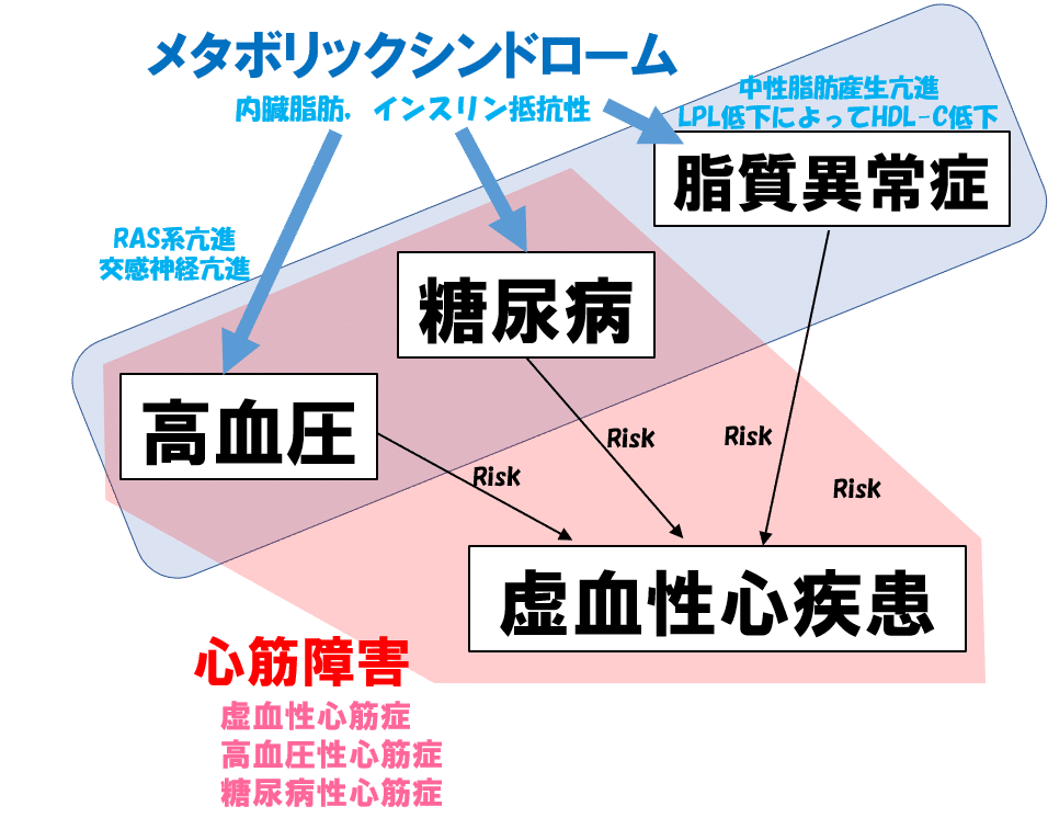 糖尿病と心筋障害