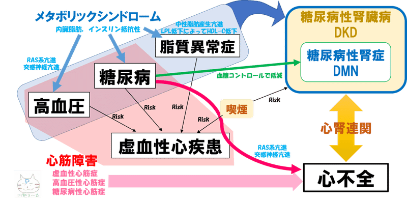 糖尿病ー心不全ー糖尿病性腎臓病 ぷーオリジナル