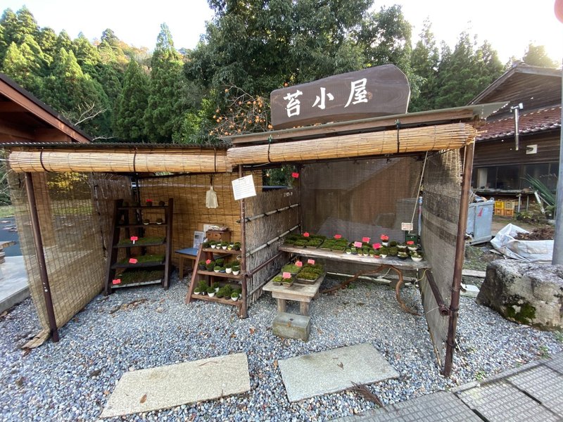 色んな苔の種類を紹介する その1 Noriaki Kawanishi 黒崎base半農style Note 色んな苔の種類を紹介する その1 Noriaki Kawanishi 黒崎base半農style Note