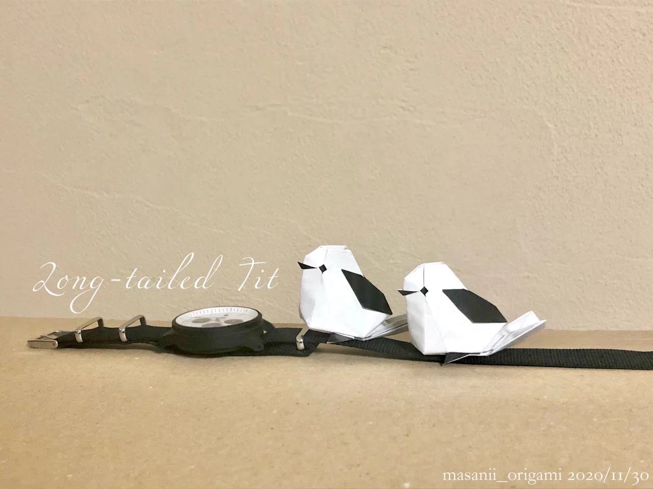 シマエナガ/Long-tailed Tit|まさにぃ シマエナガ/Long-tailed Tit|まさにぃ