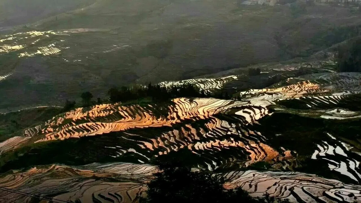 画像14