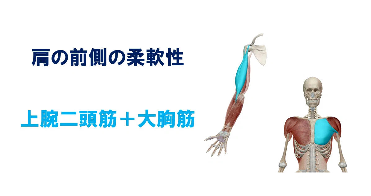 投球障害予防のための柔軟性 肩 肘編 佐藤 康 Note