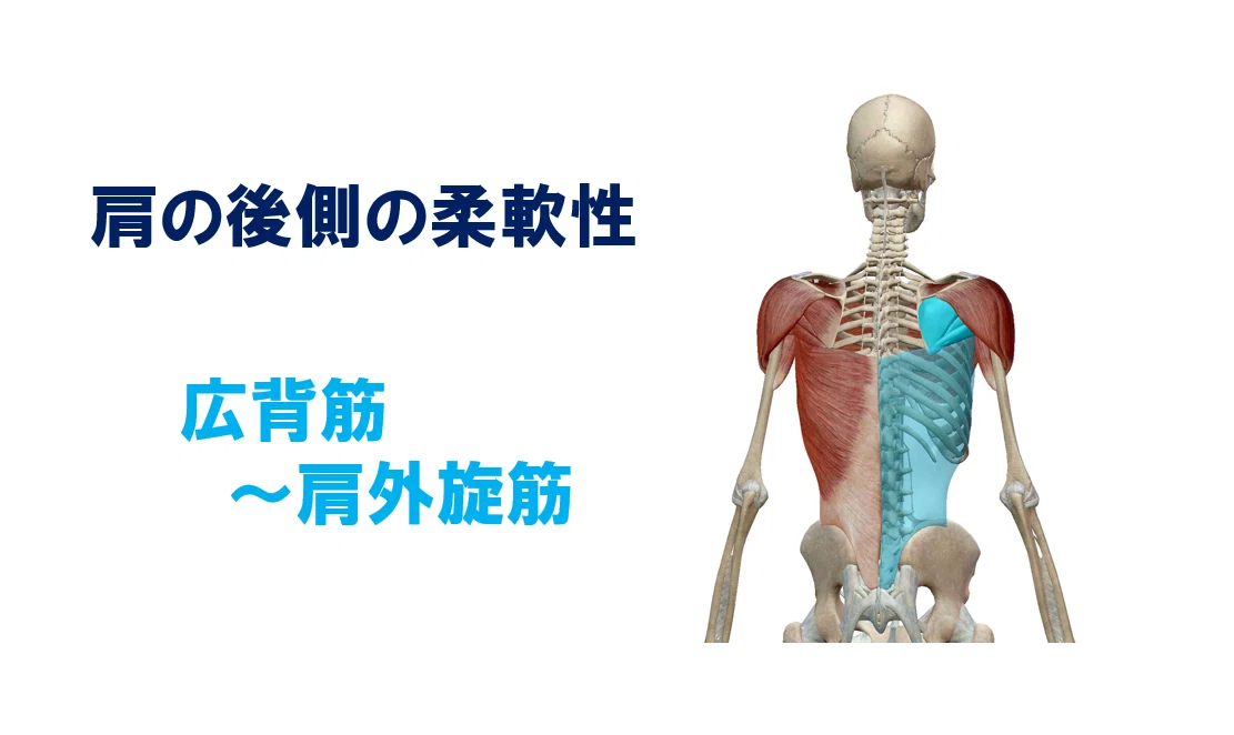 投球障害予防のための柔軟性 肩 肘編 佐藤 康 Note