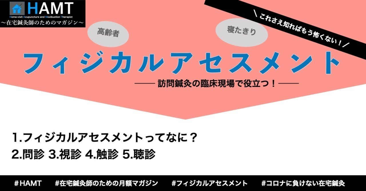 フィジカルアセスメントって何だろう 視診 触診 聴診 鍼灸師ブロガーてっちゃん Note