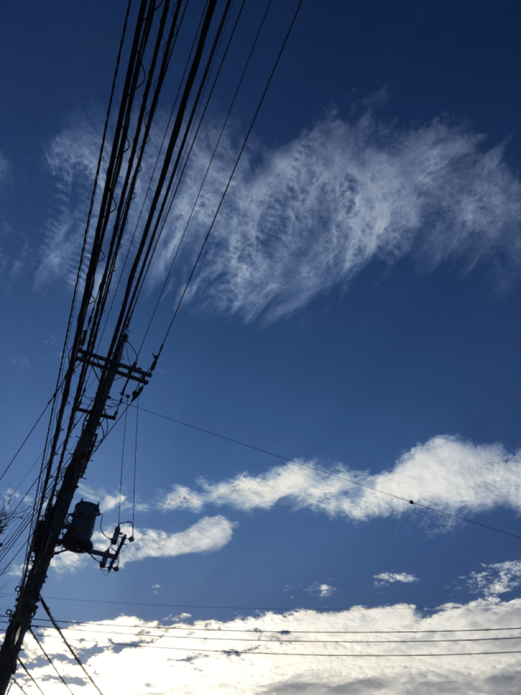 きれいだなと思ったその空には、骨。あばらだと思う