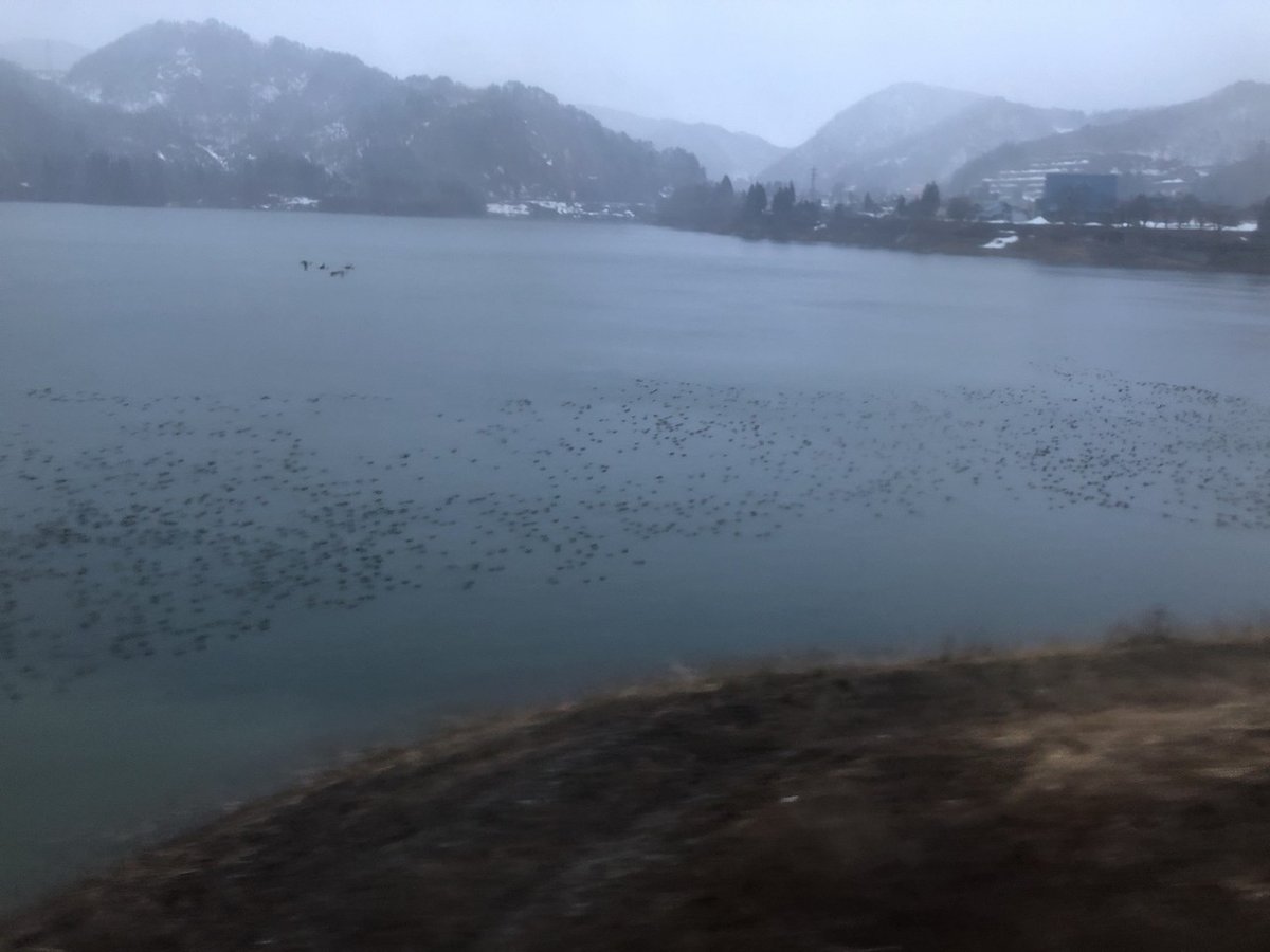 画像27