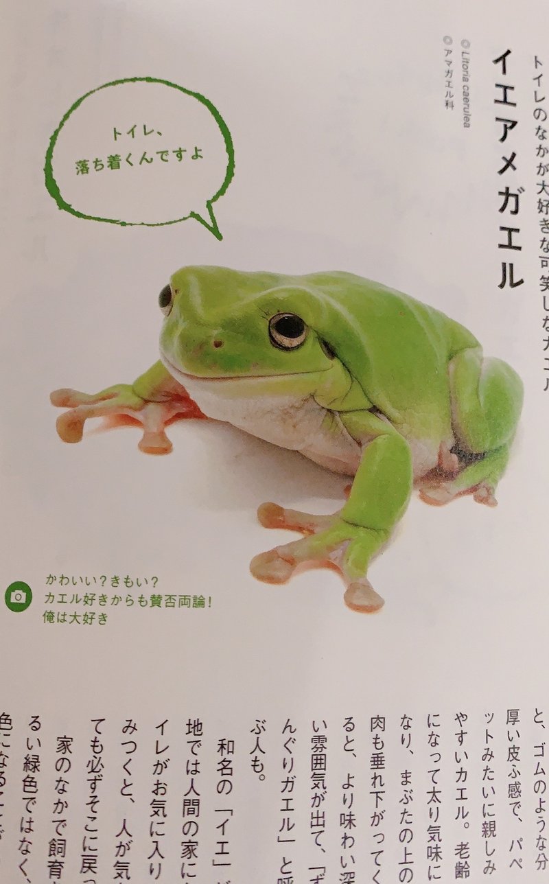 カエルにときめく図鑑 みったー児童書研究室 Note カエルにときめく図鑑 みったー児童書研究室 Note