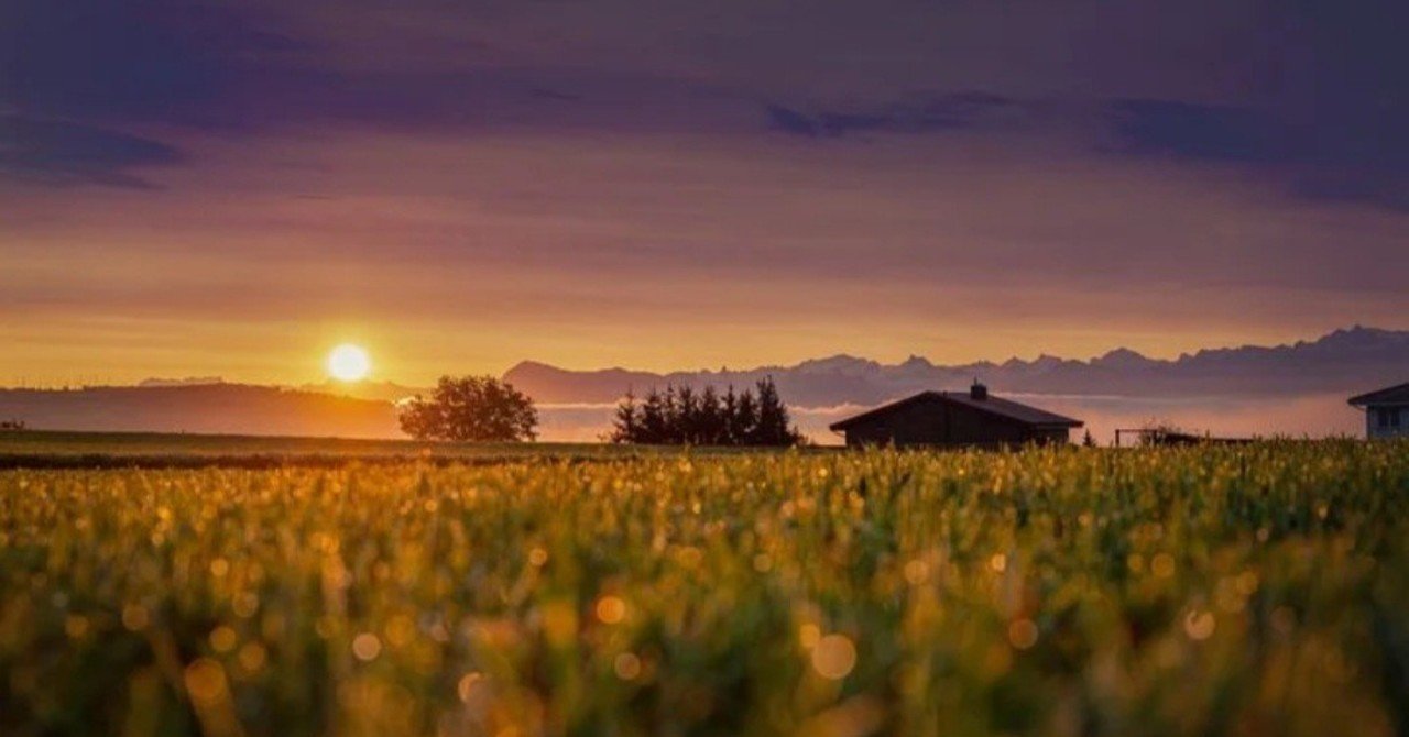 機能不全家族 Hspさんにもおススメです アダルトチルドレンの原因となる機能不全家族とは 回復方法も紹介 Hsp心理カウンセラー じゅんさん Note 機能不全家族 Hspさんにもおススメです アダルトチルドレンの原因となる機能不全家族とは 回復方法も紹介 Hsp心理カウンセラー じゅんさん Note