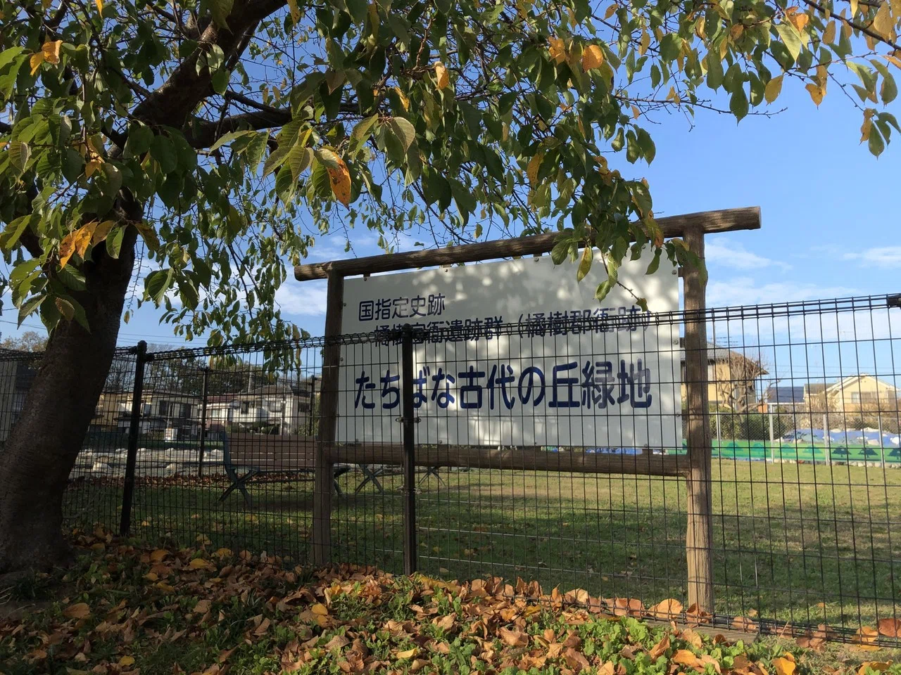 橘樹官衙から影向寺 千年伊勢山台紀行 ２ とぅーむゅらす Note