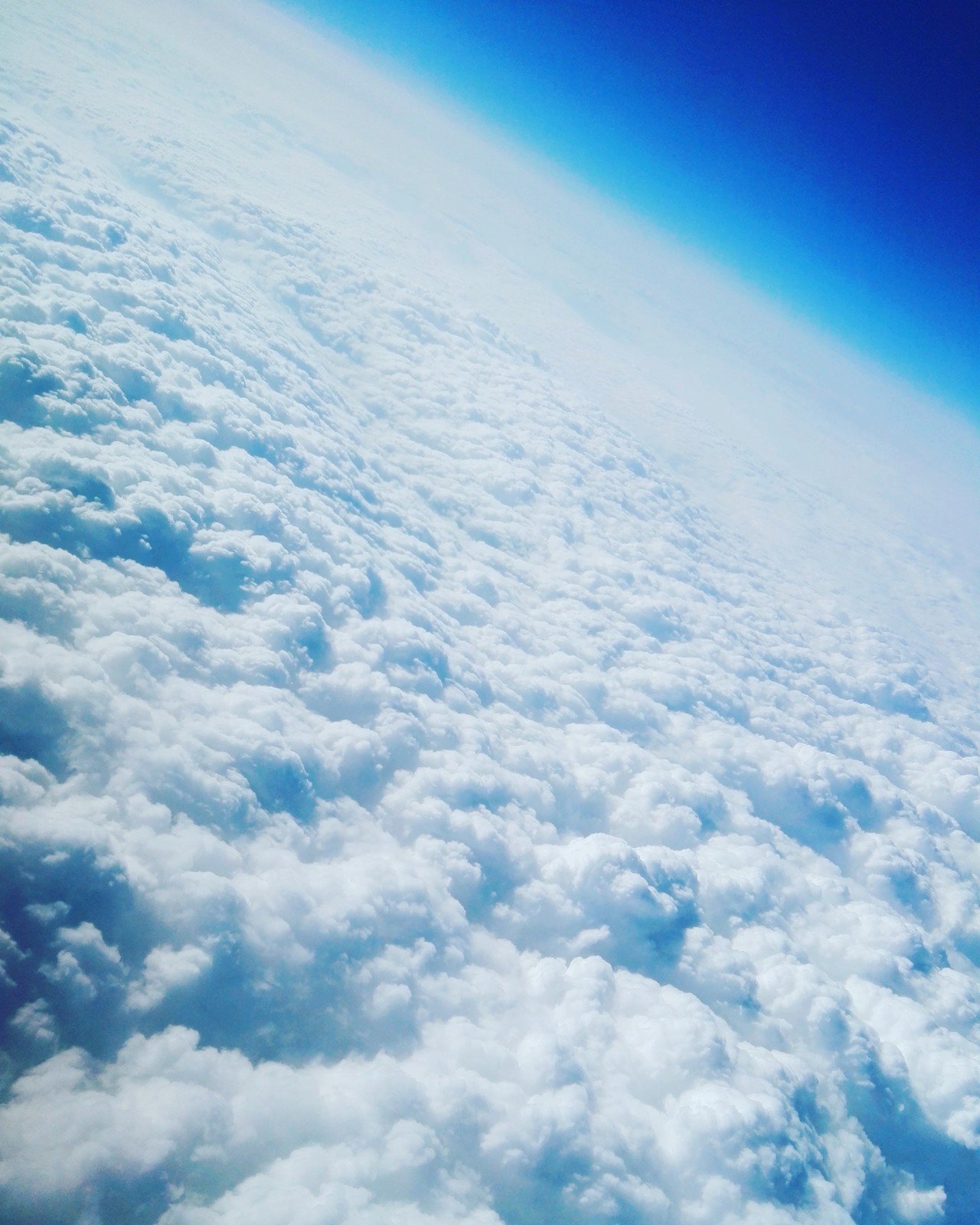 信じたい って口にすればするほど 何も信じられない心細さが 頭をもたげるんだよね 後藤 暢子 Note