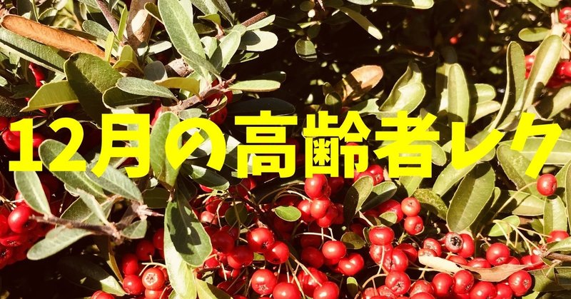 12月 冬 クリスマス会 の高齢者 デイサービス 老人ホーム 室内簡単レクリエーション ゲーム 工作一覧 ソロレクリエーション介護士のchibiike Note