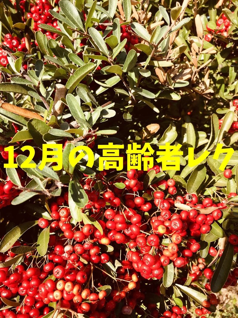 12月 冬 クリスマス会 の高齢者 デイサービス 老人ホーム 室内簡単レクリエーション ゲーム 工作一覧 ソロレクリエーション 介護士のchibiike Note