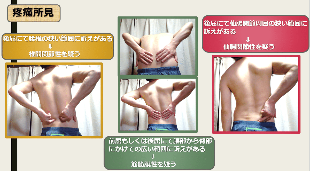 分析からアジャストまで腰痛マスター 腰椎骨盤編