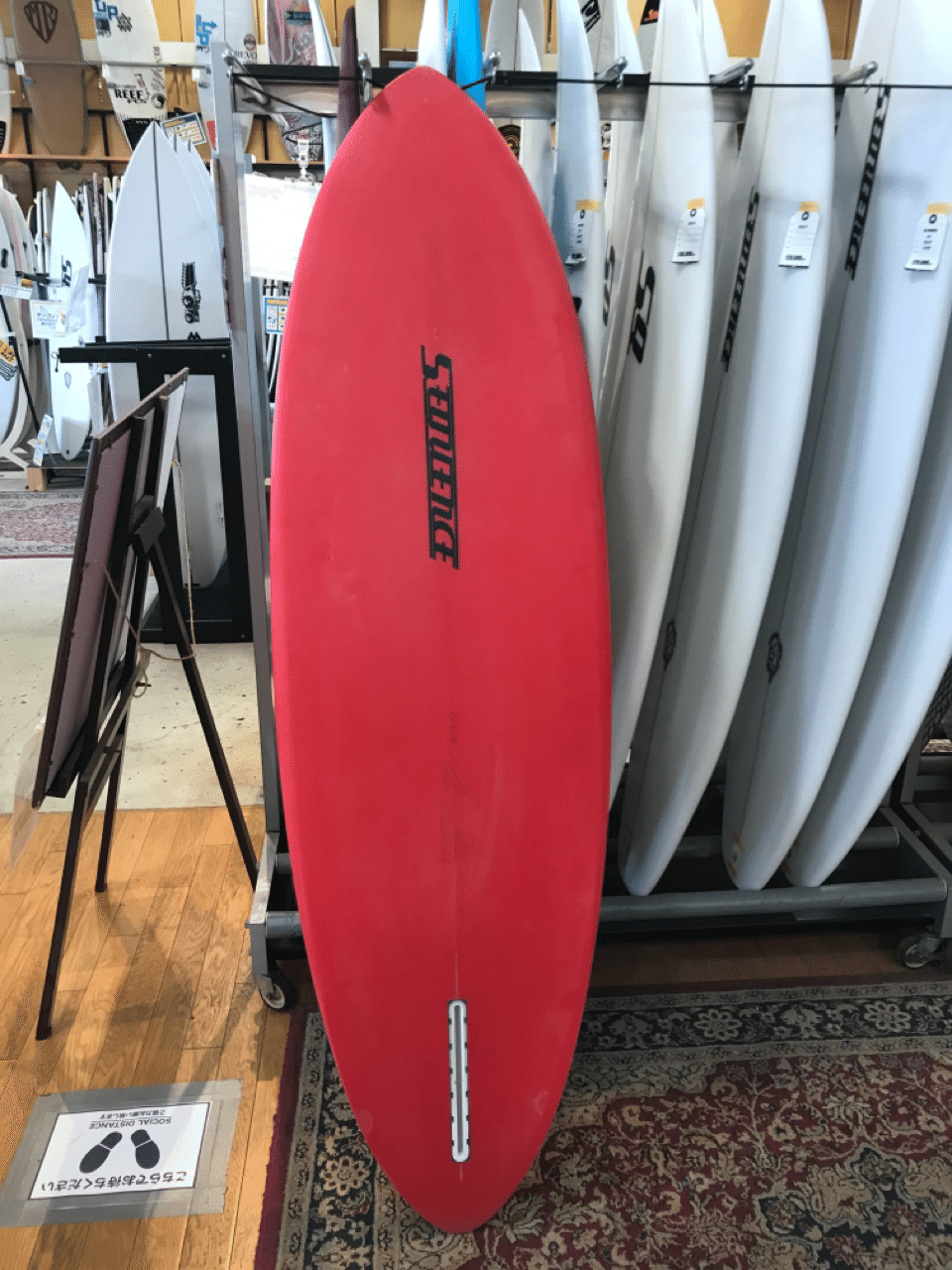 シングルフィン🏄‍♂️｜さるさん