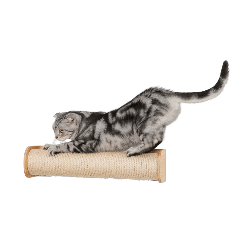 猫好きのためのおしゃれな猫用品カタログ 洋梨 Note 猫好きのためのおしゃれな猫用品カタログ 洋梨 Note