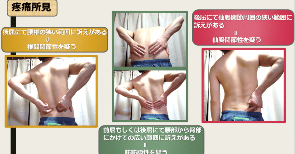 【おまとめ割引あり】分析からアジャストまで腰痛マスター【腰椎骨盤編】 おまとめ割引あり】分析からアジャストまで腰痛マスター【腰椎