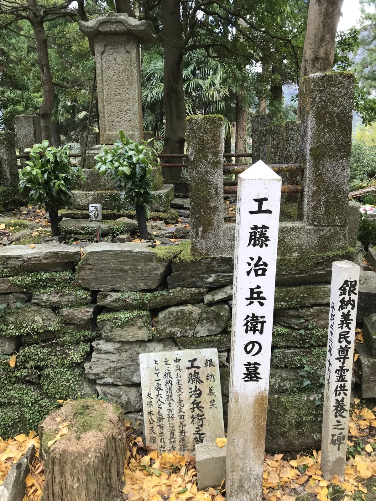 画像3