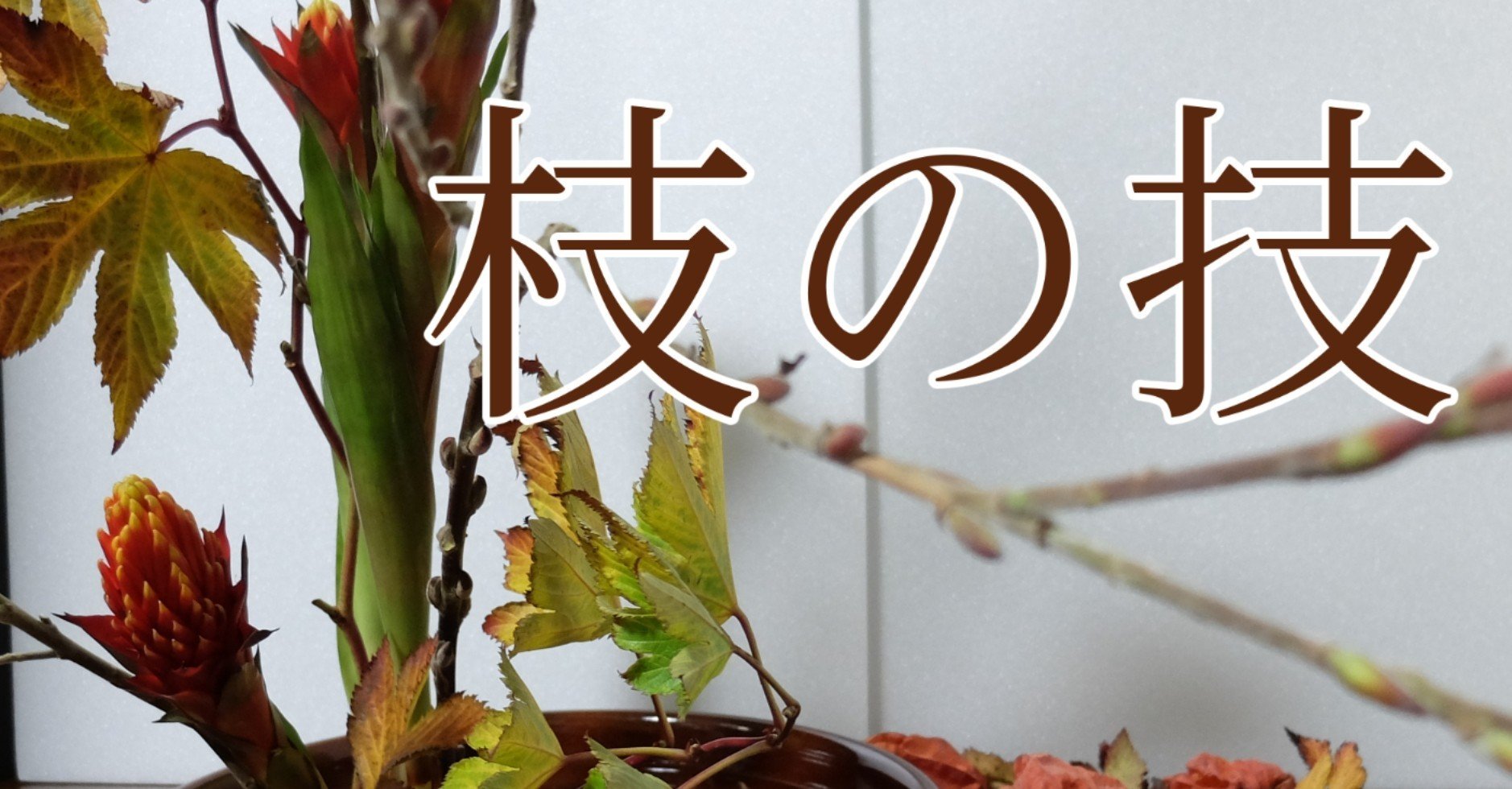 エダモノを生ける 赤芽柳 カイカトカイガ Note エダモノを生ける 赤芽柳 カイカトカイガ Note