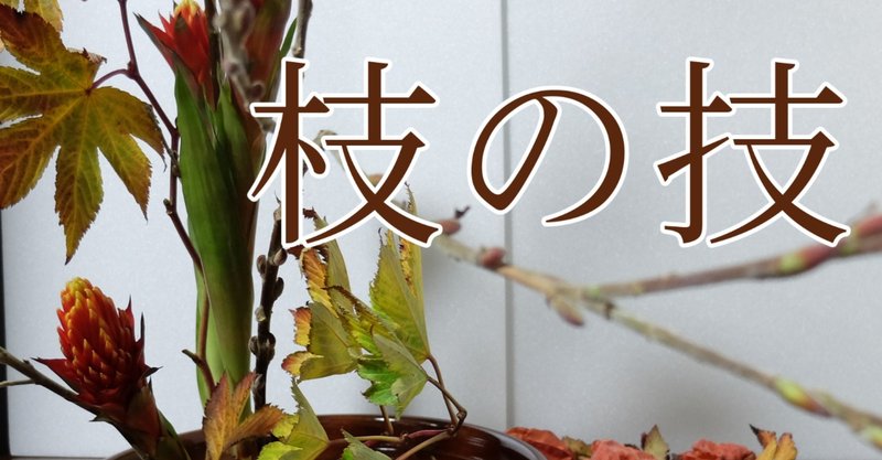 エダモノを生ける 赤芽柳 カイカトカイガ Note エダモノを生ける 赤芽柳 カイカトカイガ Note