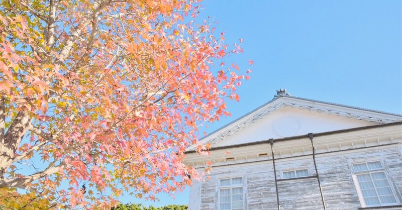 11月はすごく長かった気がするから