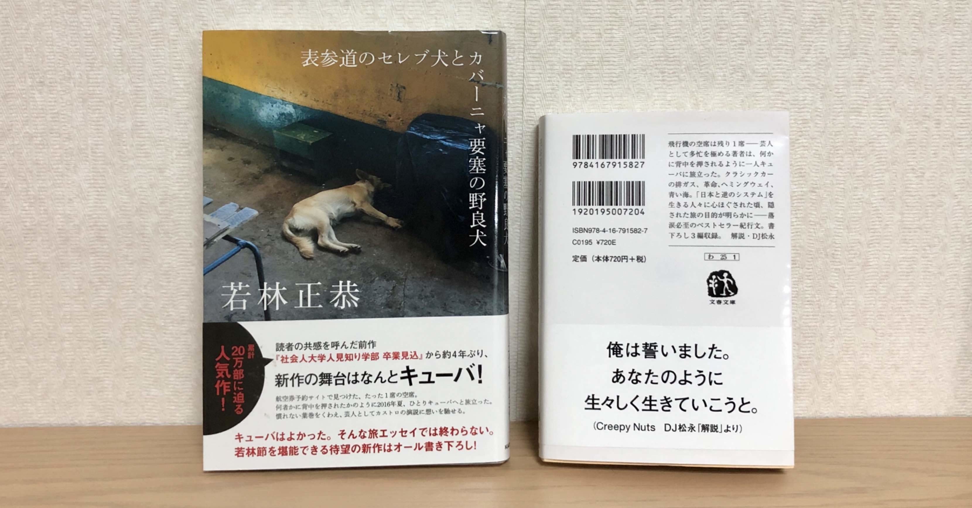 表参道のセレブ犬とカバーニャ要塞の野良犬 を読んでのお気持ち供養 Sumuchi Note