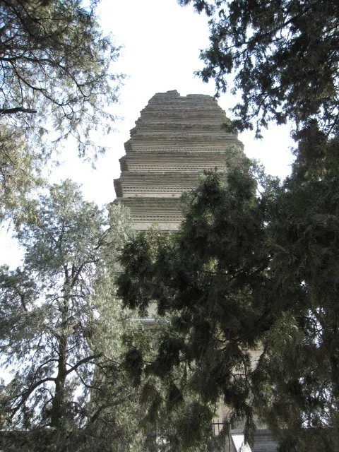 画像11