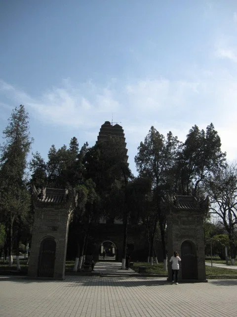 画像12