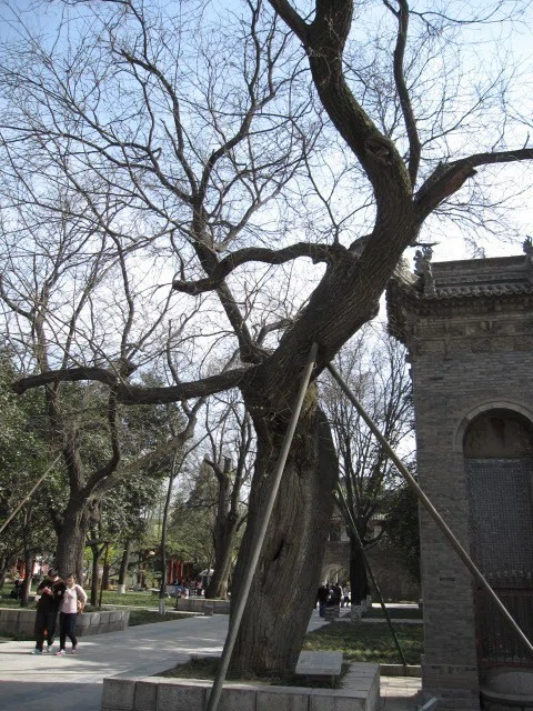 画像14