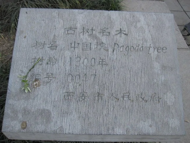 画像15
