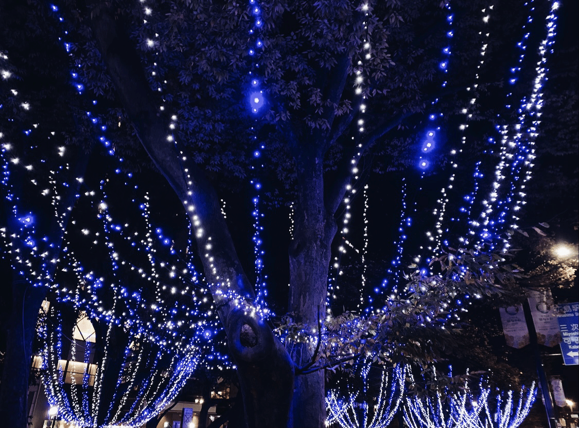 秋から冬へのグラデーション Moe Note 秋から冬へのグラデーション Moe Note