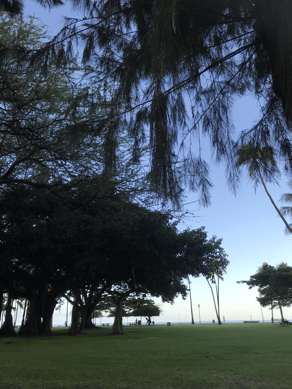 12 1 ハワイも12月に Hawaiine55 Note