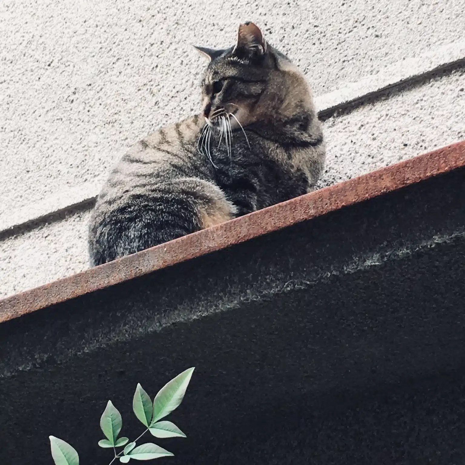 ときた ゆう