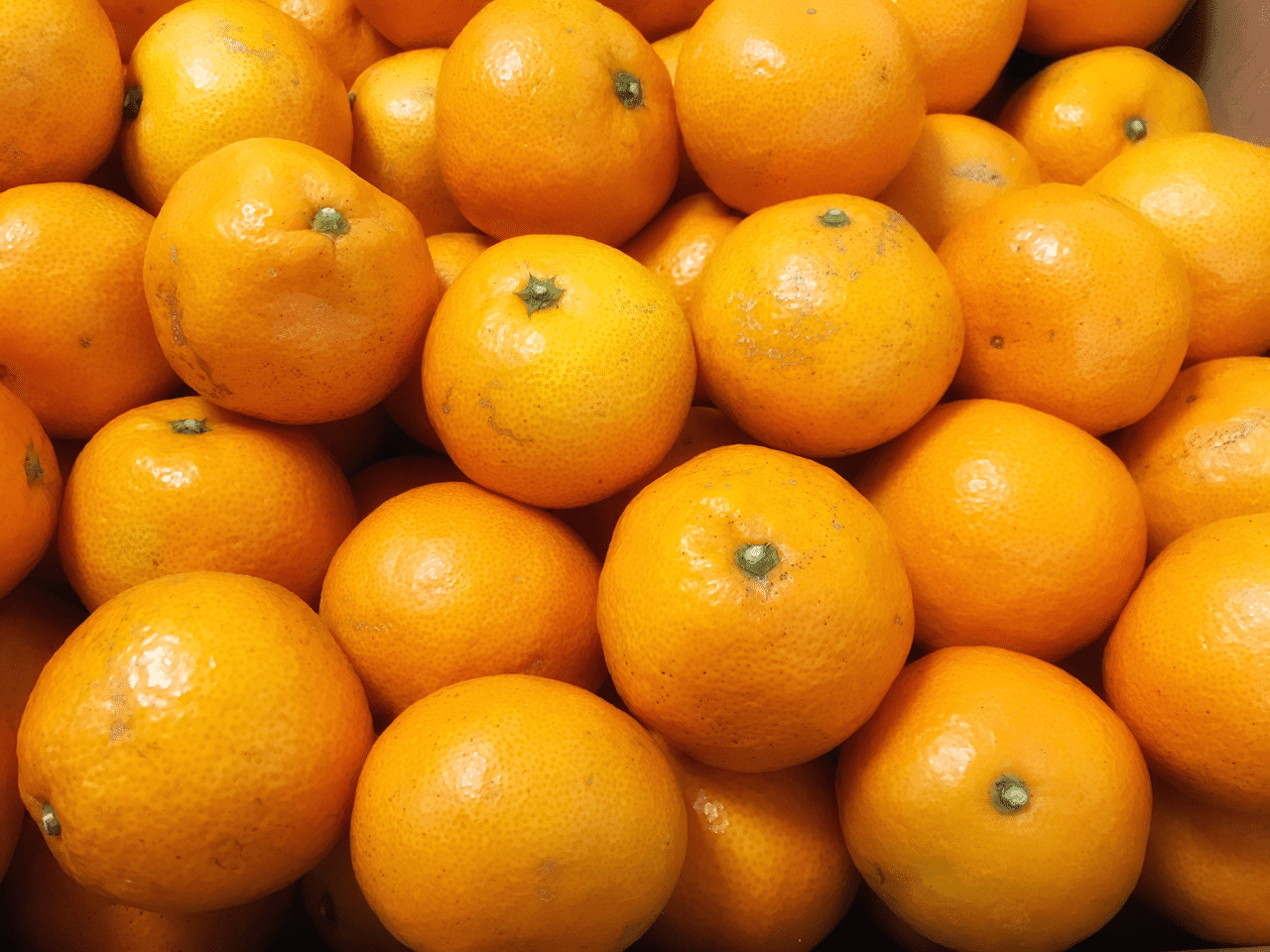 みか ん で 運 を上げる この写真は 昨日 お歳暮 で届いた私の世界一好きな食べ物 みか ん 運 盛り 最後に ん のつくものを飾って 食べて 運 をつける 年中行事にある 冬至 井垣利英 ちょこっとマナー 会話美人ひと言レッスン Note