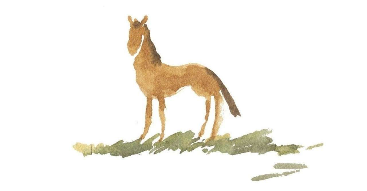 ゾンビ -サン=ドマング島の怪