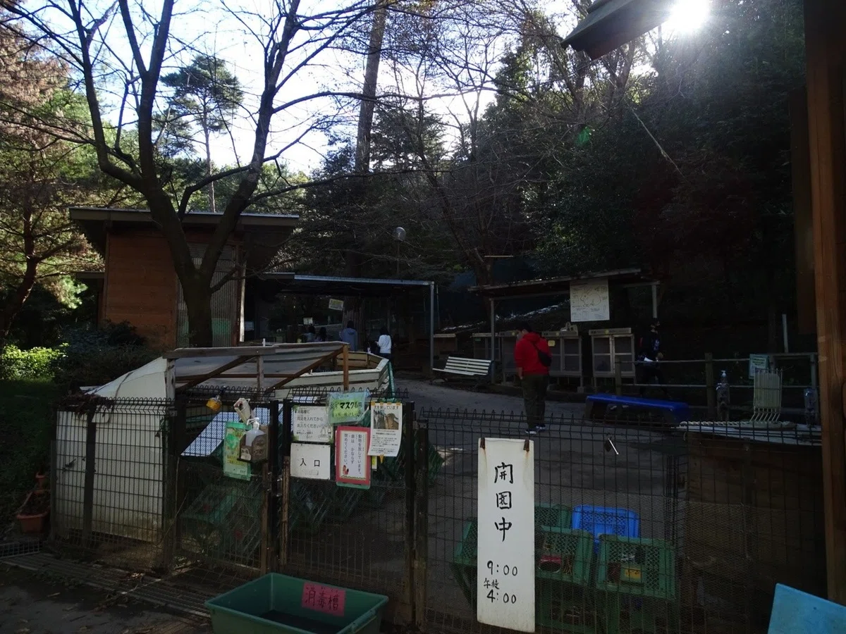 画像6