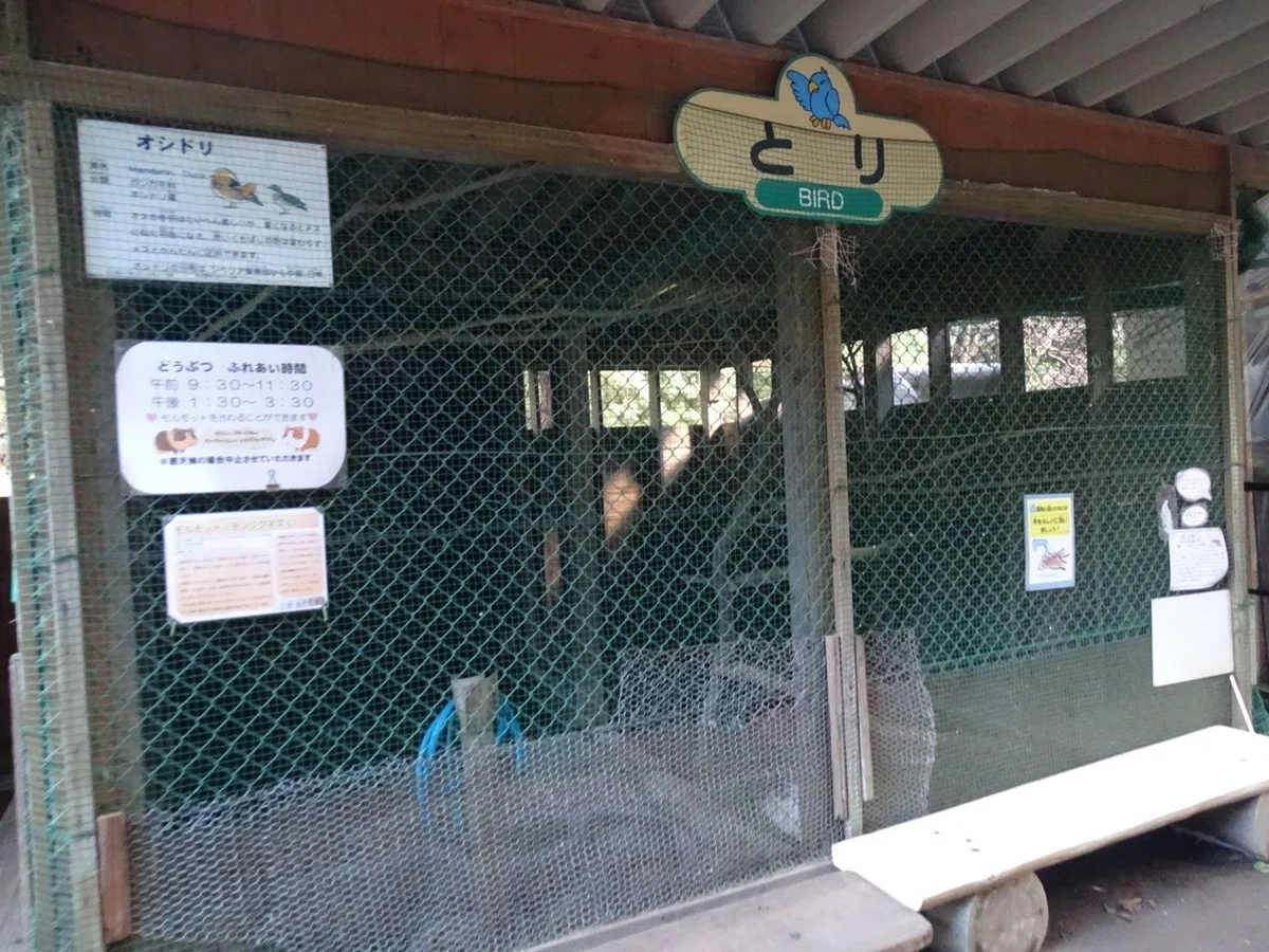画像14